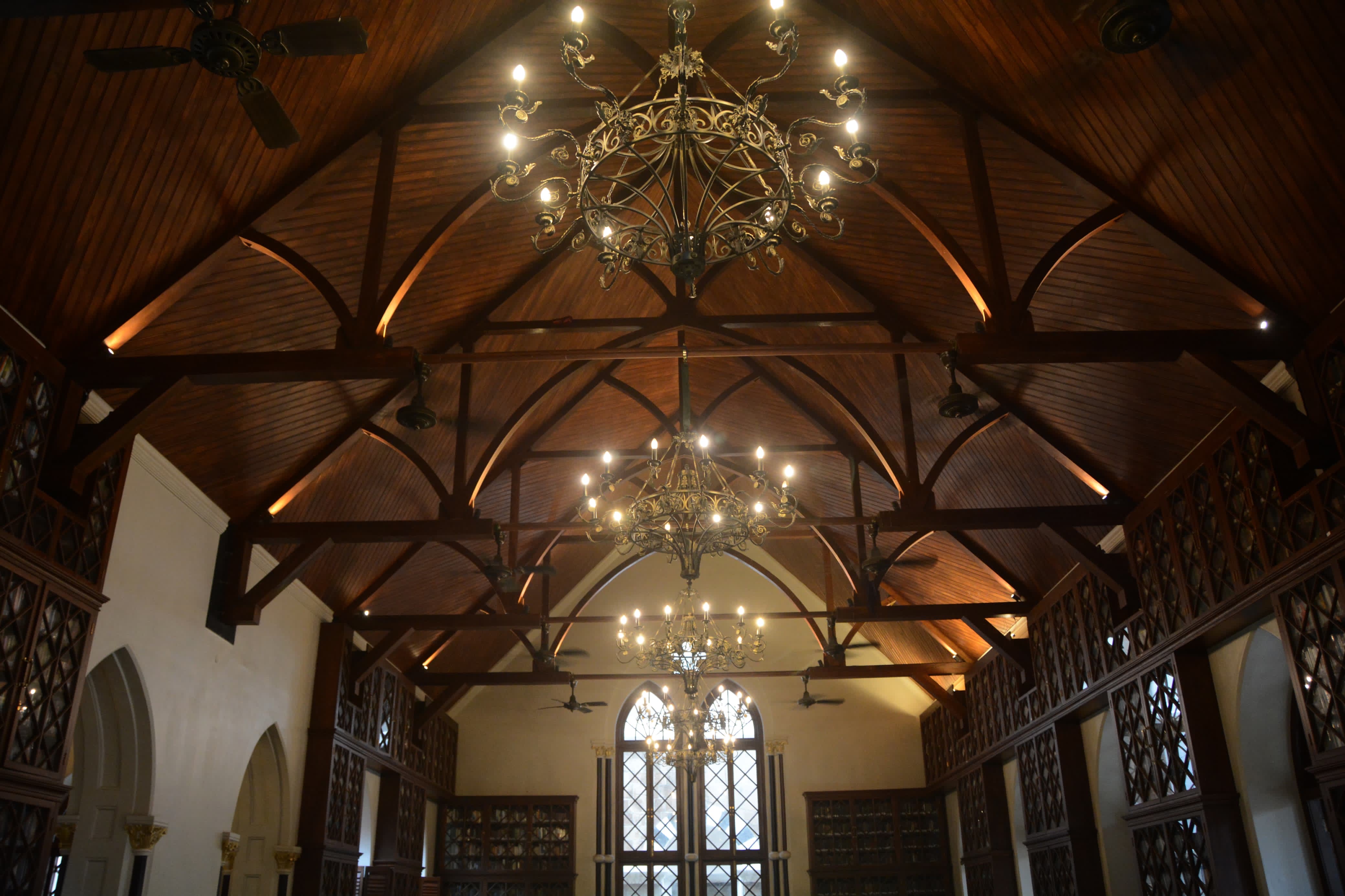 Library Photo 15